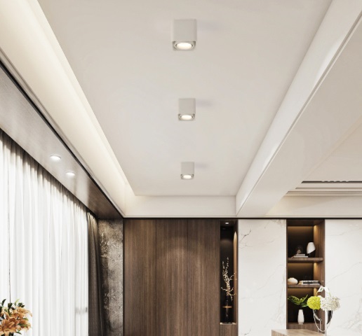 Светильник IL.0018.0010 (1С10241) Белый ` D10/H9/1/GU10/50W SPF13