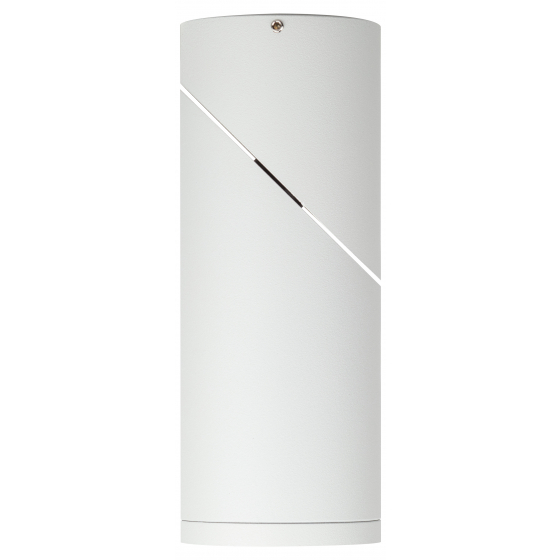 Светильник настенно-потолочный спот ЭРА OL18 WH MR16/GU10, белый