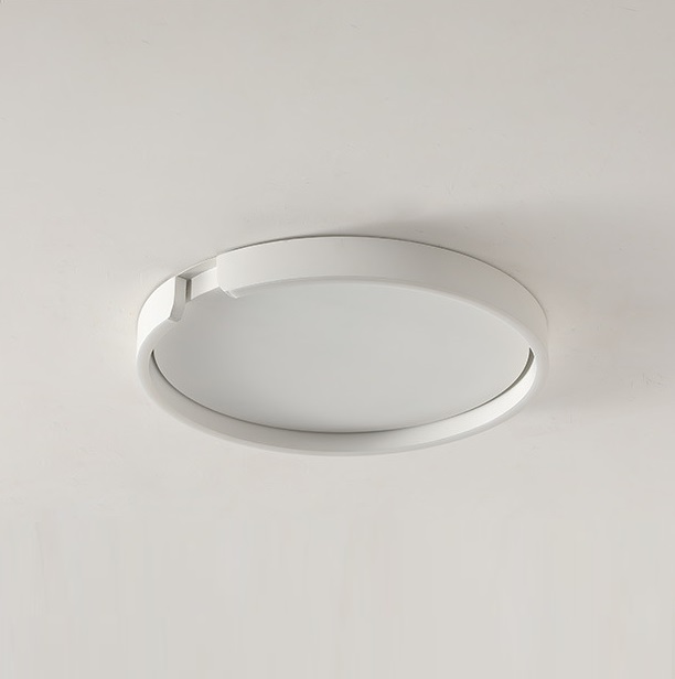 Светильник DZN-12053 БЕЛЫЙ ` D600/H40/1/LED/36W/4000K SEGMENT